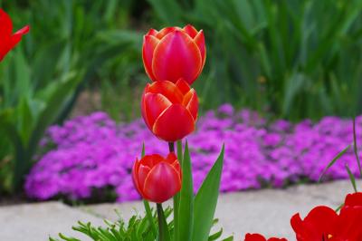 Прикрепленное изображение: LUKA6466.jpg